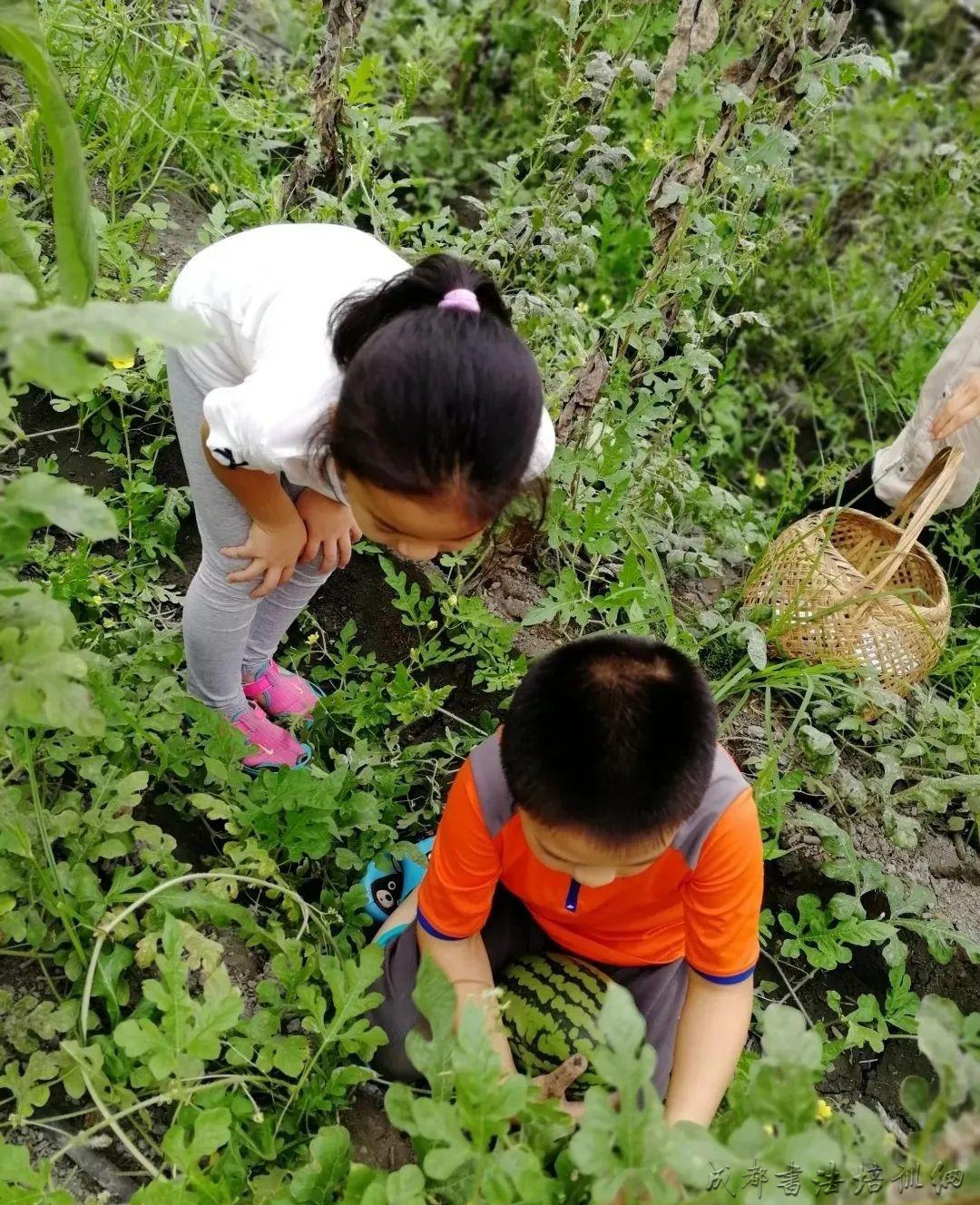 成都周边7个亲子农场，周末新去处，五一走起 &#8211;