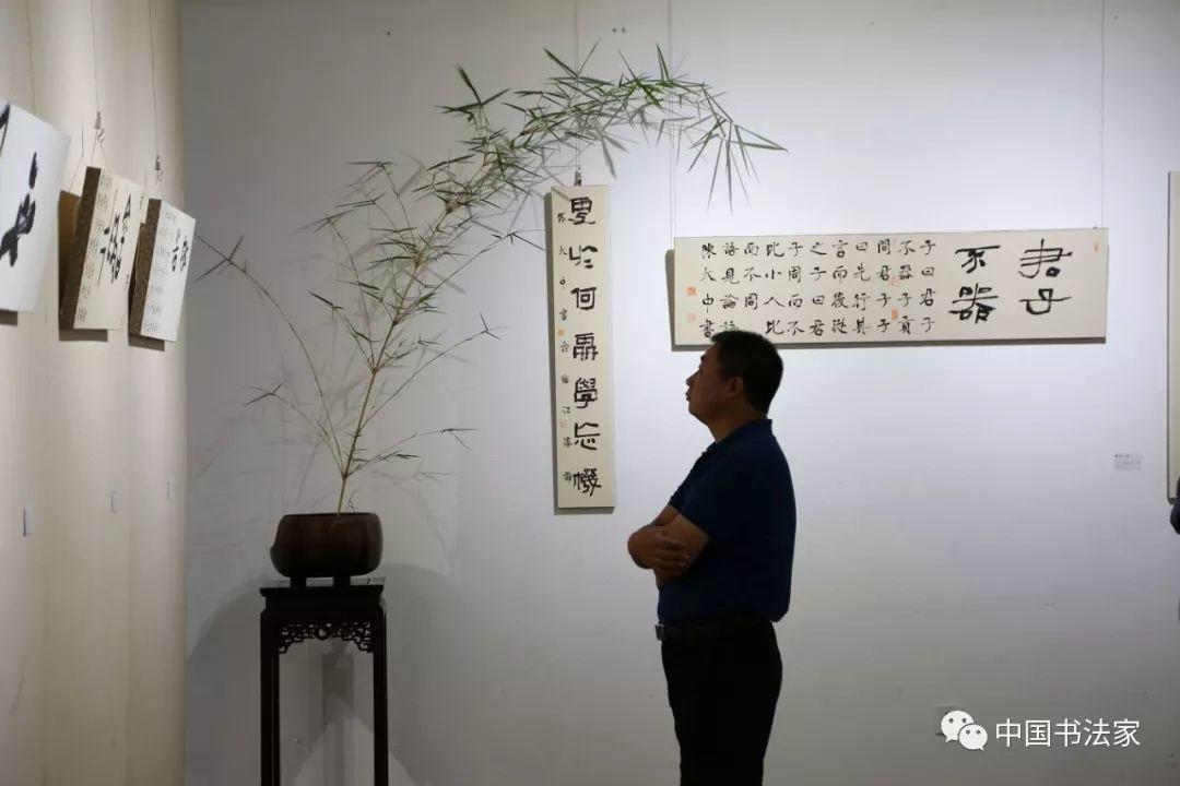 学院之光 | 中国高等院校书法专业教授六人书法展开幕纪实