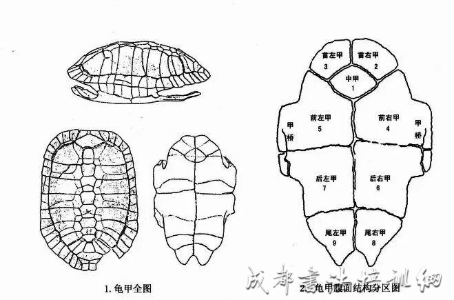 甲骨文萌起来，连自己都害怕！ &#8211;