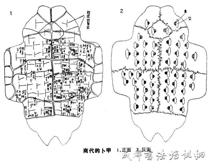 甲骨文萌起来，连自己都害怕！ &#8211;