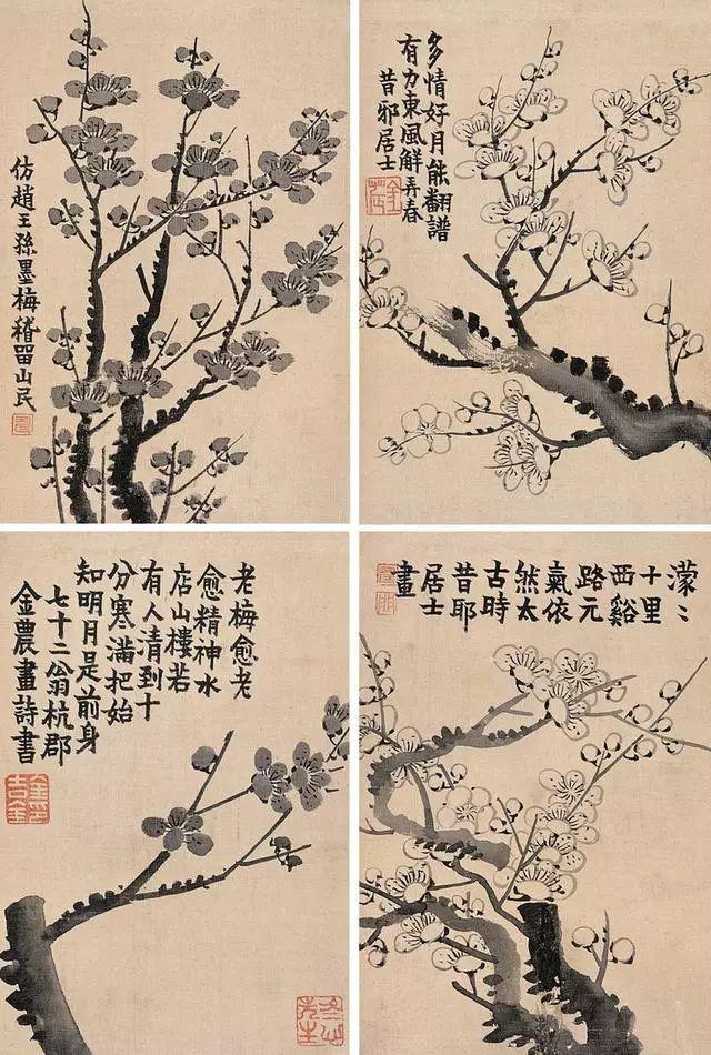 金农花卉图｜一生知己是梅花