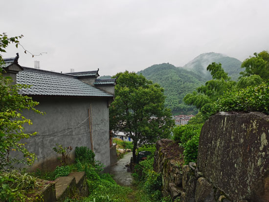 喜逢释迦佛圣诞日，艺术家徐戎于玉屏寺以现场书写供养！