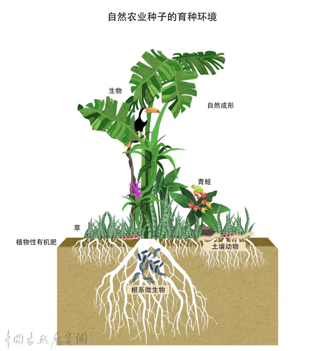 来自河南修武的“乡村考现学”，山川、作物、工艺与风度……