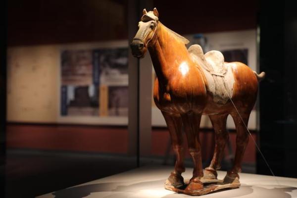 一周观展指南｜苏轼特展尚余十多天，正仓院、马蒂斯展将启幕