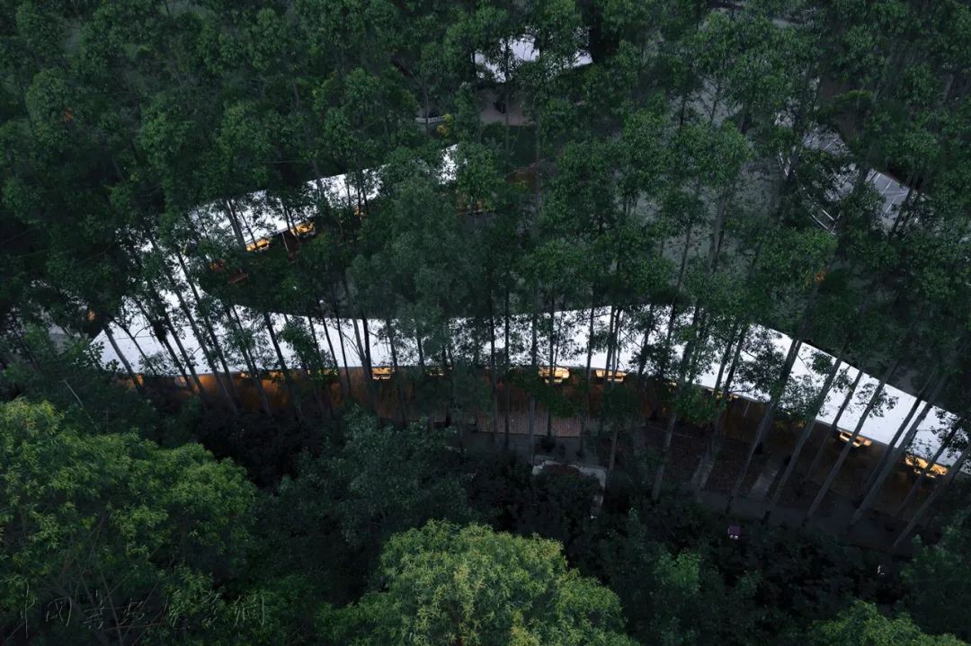 从大兴机场到“山之厕”，这些获奖建筑引领了中国潮流