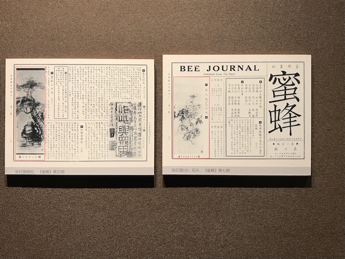 读陆小曼、周錬霞等笔下丹青，上海中国画院展女画师作品