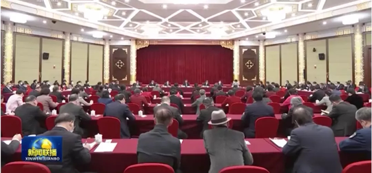 两会声音 | 美术界委员学习习近平总书记在看望医药卫生界教育界政协委员时的重要讲话