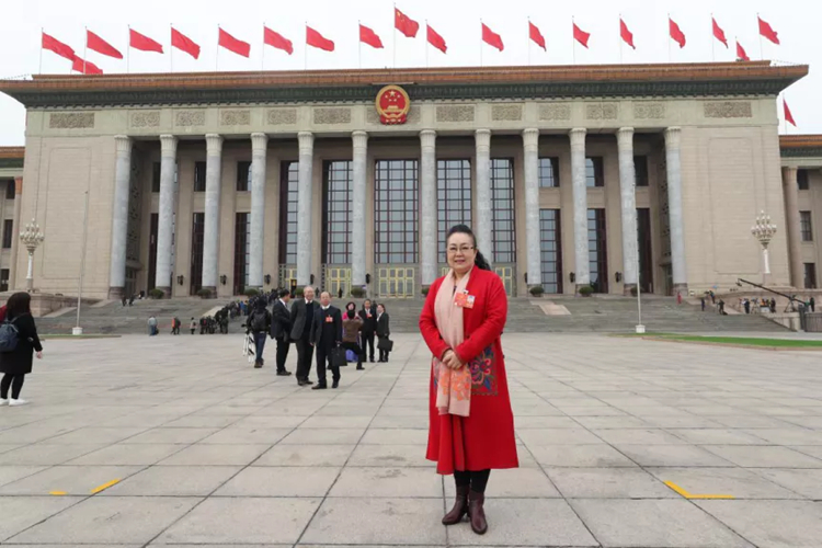 两会声音 | 宋亚平：加强美育，完善教育评估机制，制止儿童美术考级