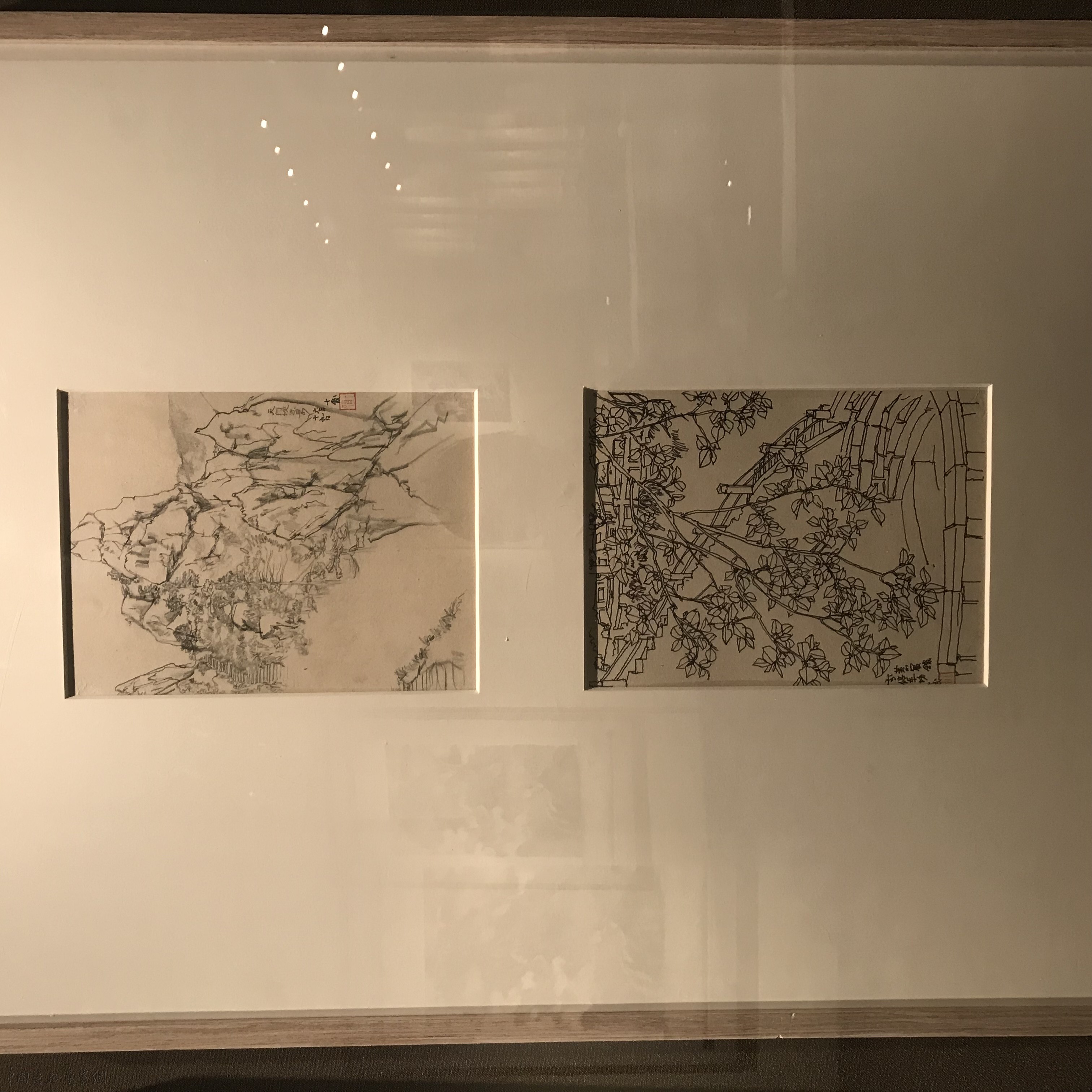 现场｜程十发诞辰百年特展，150件作品回顾其画艺人生