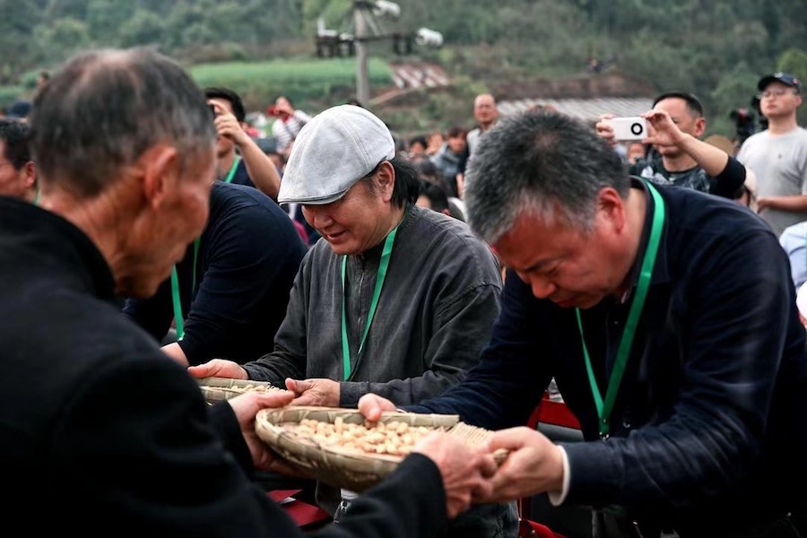 艺术与乡建|红土地上这些“陌生的艺术与表达”