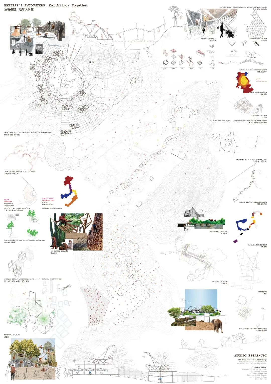 如何设想城市变成动物园，一场“实践营”探讨人与自然关系