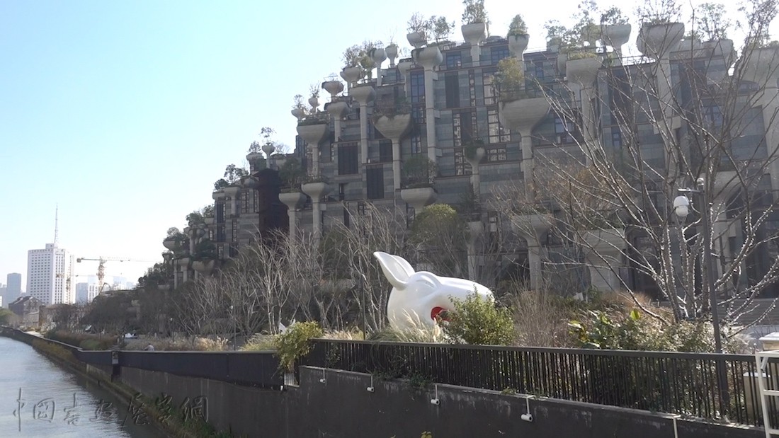 探访苏州河畔巨型“空中森林”，如山脉起伏于都市