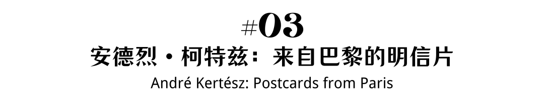 展望2022｜在芝加哥阅读塞尚与古埃及