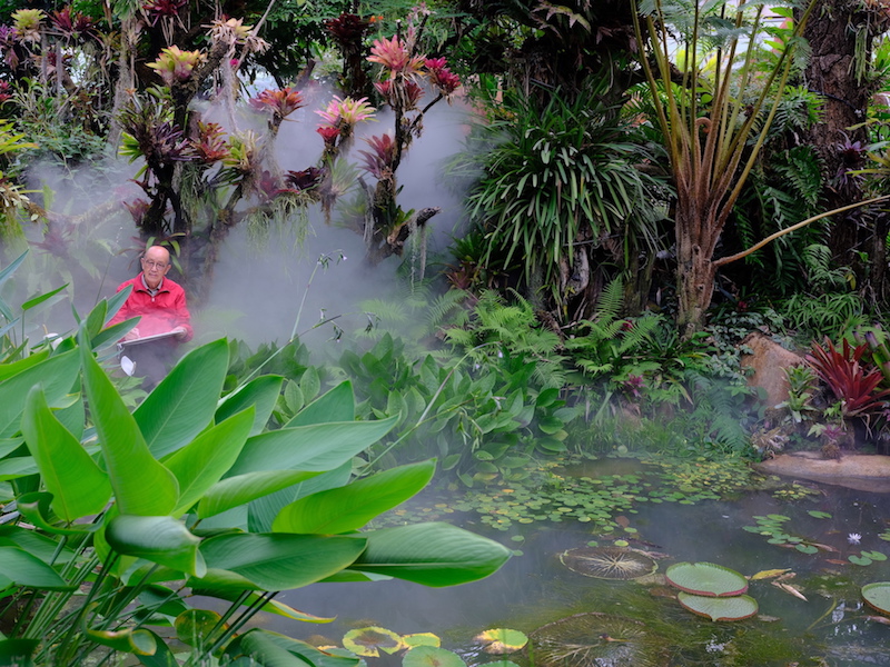 “立传植物”的耄耋画家曾孝濂：图考《诗经》，穿林打叶