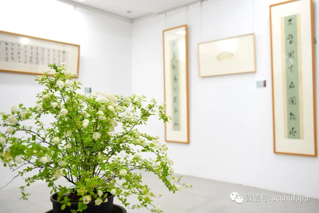 快讯| 代明道 张雁书法作品展暨书法品鉴会在四川省文化馆举办