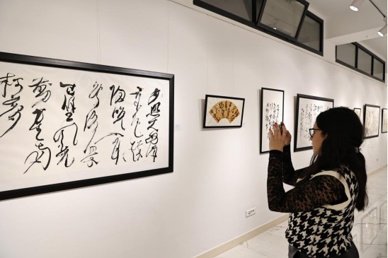 “兰亭·雅集”中国当代书法艺术展——成都篇在摩洛哥展出